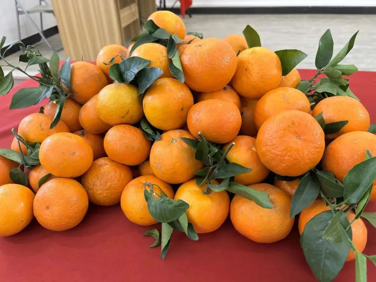 門(mén)窗十大品牌